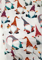 Кулир ГНОМЫ 10509